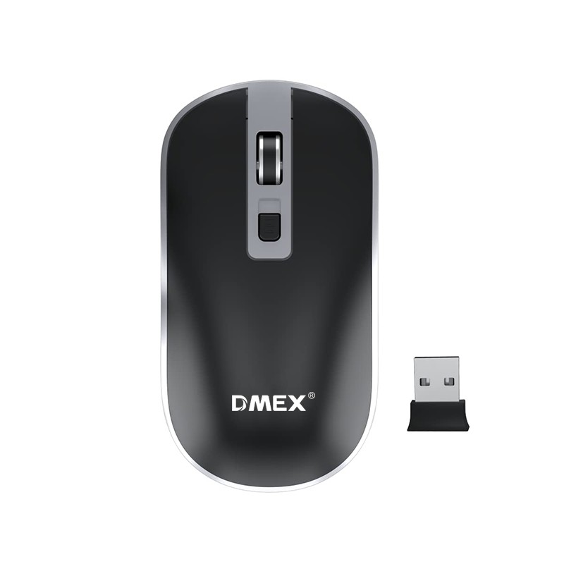 DM101