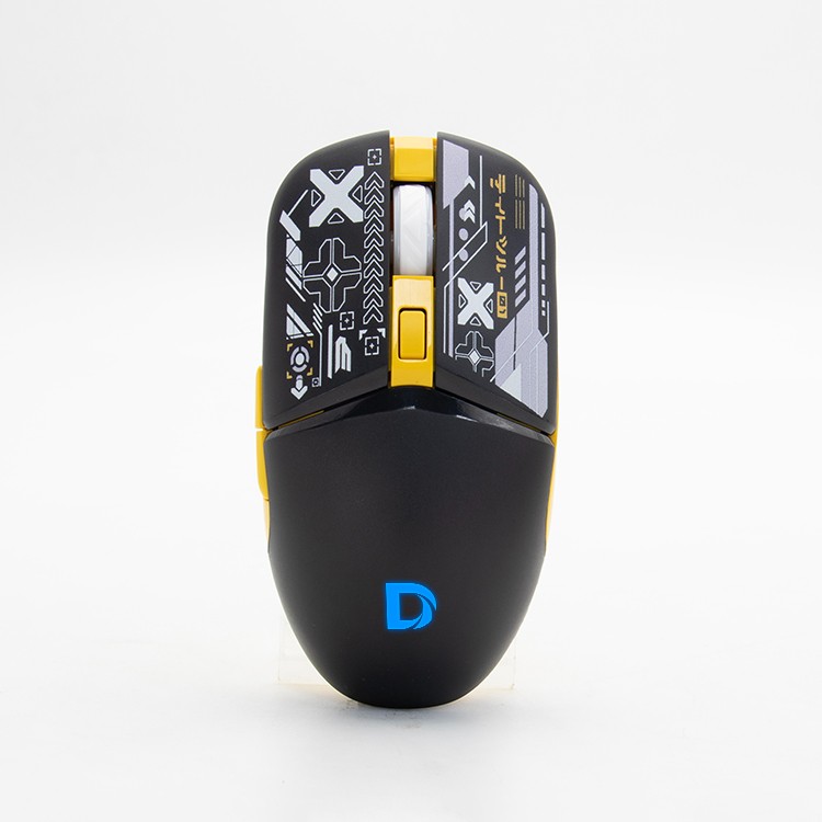 DMS700