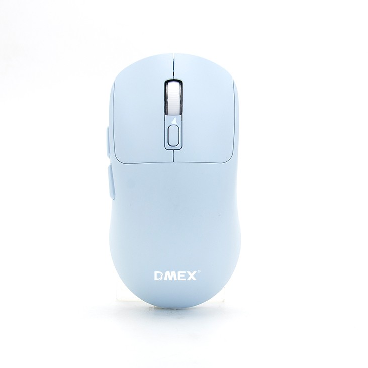 DM348
