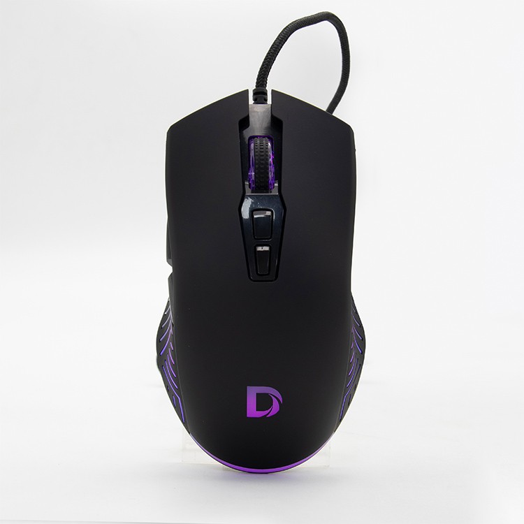 DMG13