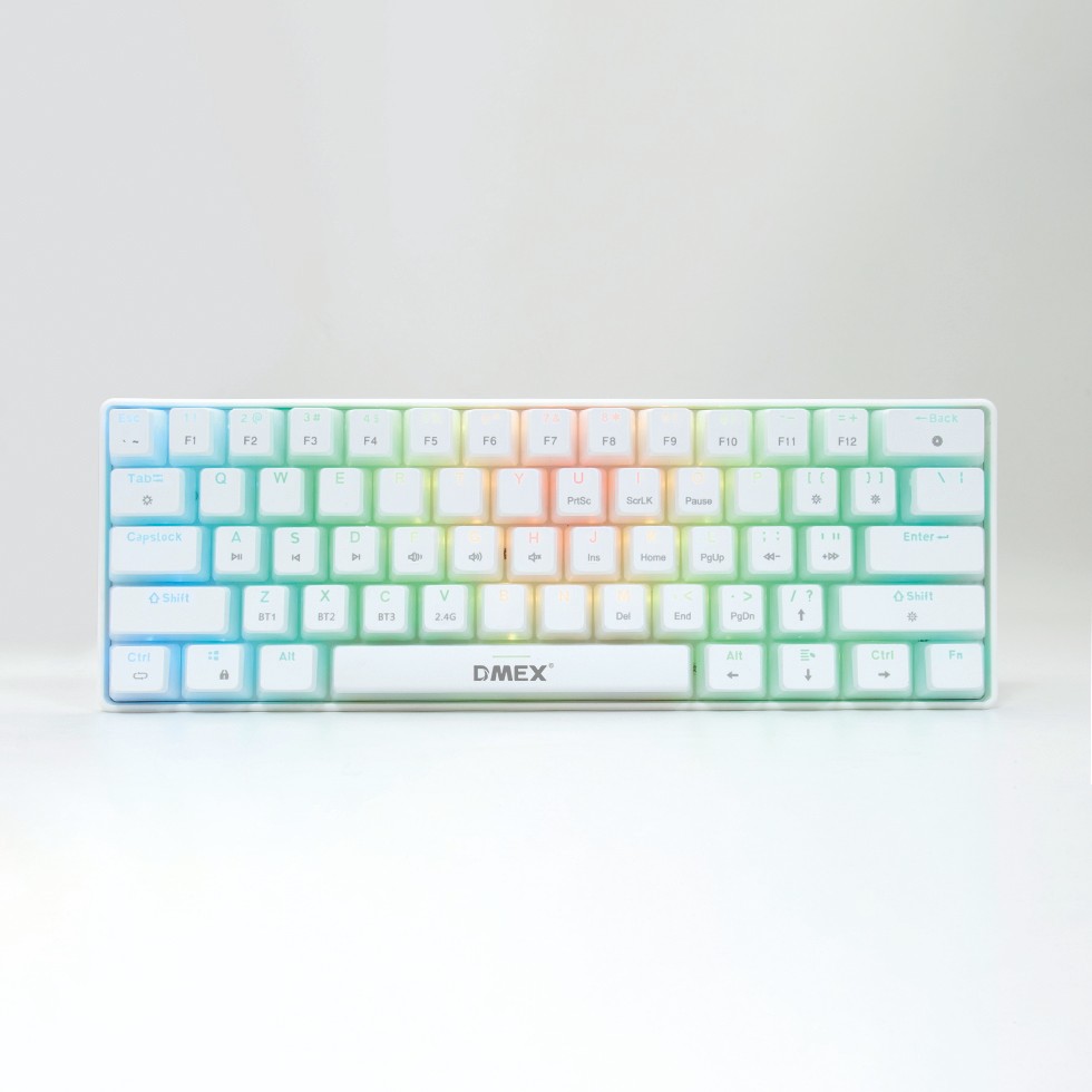 DMG201-1