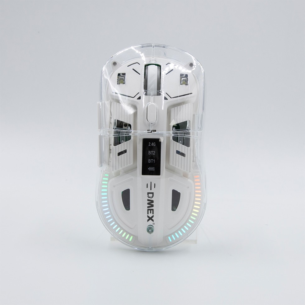 DM173