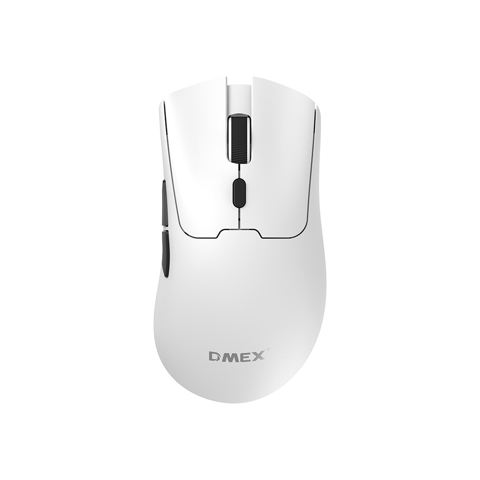 DMB816